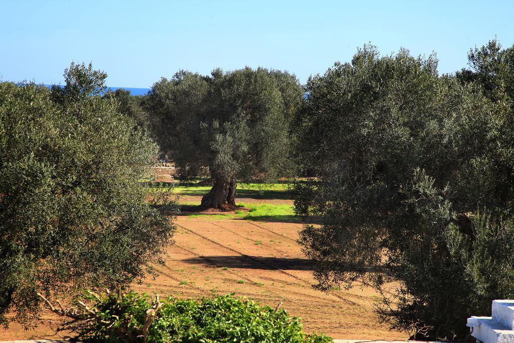 سافيلّيتري Masseria Pittore المظهر الخارجي الصورة